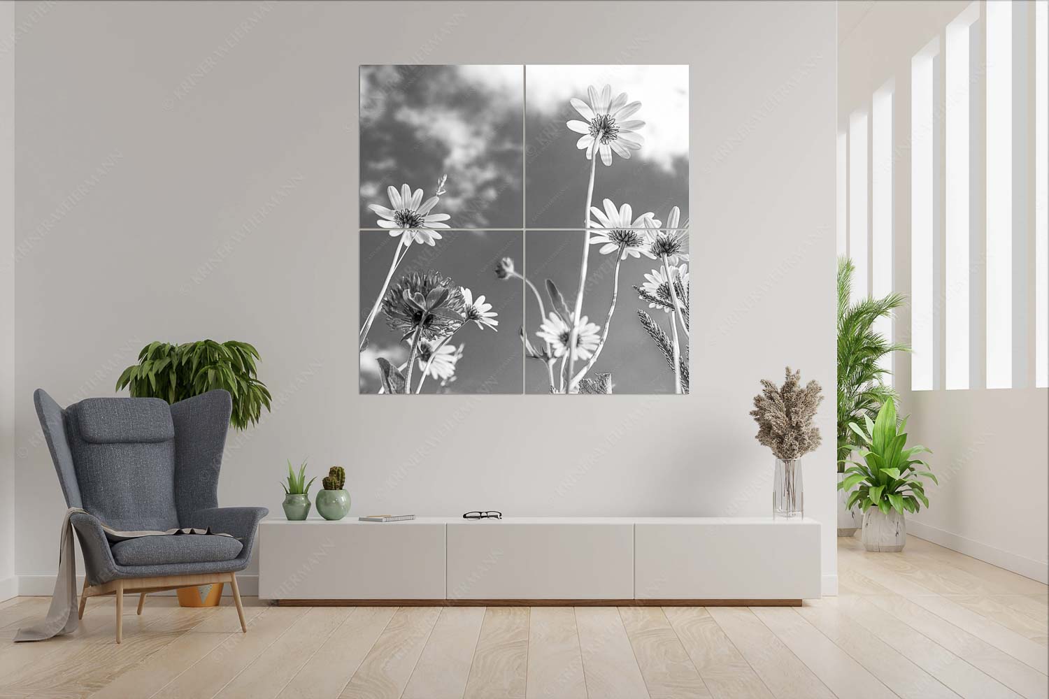 Von unten auch schön – 4er Split, Größe ca. 180x180cm, Seitenverhältnis 1:1 — Margariten Blumen Unteransicht einer Blumenwiese mit Margariten - Von unten auch schön - 4er Split, Größe ca. 180x180cm, Seitenverhältnis 1:1 - Margariten Blumen - weitere Infos unter https://www.kriner-weiermann.de