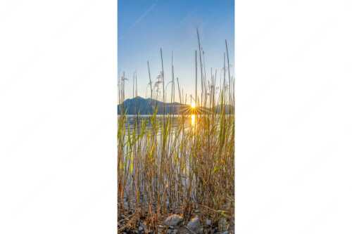 Schilfufer am Walchensee mit Sonnenaufgang am Jochberg - Walchenseeschilf - Seitenverhältnis 1:2 - Walchensee Sonnenaufgang Jochberg - weitere Infos unter https://www.kriner-weiermann.de