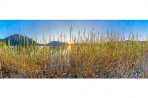 Schilfufer am Walchensee mit Sonnenaufgang am Jochberg - Walchenseeschilf - Seitenverhältnis 2,5:1 - Walchensee Sonnenaufgang Jochberg - weitere Infos unter https://www.kriner-weiermann.de