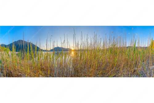 Schilfufer am Walchensee mit Sonnenaufgang am Jochberg - Walchenseeschilf - Seitenverhältnis 3:1 - Walchensee Sonnenaufgang Jochberg - weitere Infos unter https://www.kriner-weiermann.de