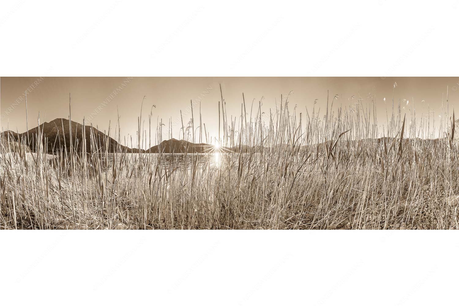 Walchenseeschilf – Seitenverhältnis 3:1 — Walchensee Sonnenaufgang Jochberg Schilfufer am Walchensee mit Sonnenaufgang am Jochberg