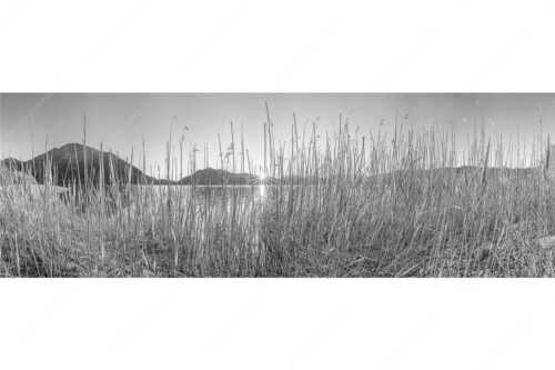 Schilfufer am Walchensee mit Sonnenaufgang am Jochberg - Walchenseeschilf - Seitenverhältnis 3:1 - Walchensee Sonnenaufgang Jochberg - weitere Infos unter https://www.kriner-weiermann.de