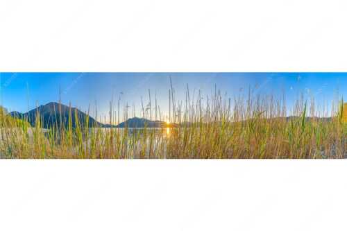 Schilfufer am Walchensee mit Sonnenaufgang am Jochberg - Walchenseeschilf - Seitenverhältnis 4:1 - Walchensee Sonnenaufgang Jochberg - weitere Infos unter https://www.kriner-weiermann.de