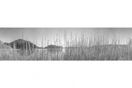 Schilfufer am Walchensee mit Sonnenaufgang am Jochberg - Walchenseeschilf - Seitenverhältnis 4:1 - Walchensee Sonnenaufgang Jochberg - weitere Infos unter https://www.kriner-weiermann.de