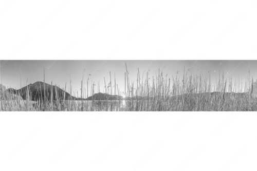 Schilfufer am Walchensee mit Sonnenaufgang am Jochberg - Walchenseeschilf - Seitenverhältnis 5:1 - Walchensee Sonnenaufgang Jochberg - weitere Infos unter https://www.kriner-weiermann.de