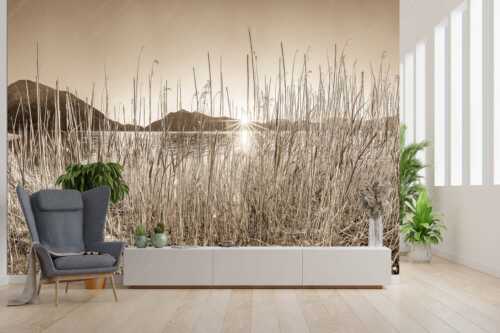 Schilfufer am Walchensee mit Sonnenaufgang am Jochberg - Walchenseeschilf - Größe ca. 300x200cm, Seitenverhältnis 3:2 - Walchensee Sonnenaufgang Jochberg - weitere Infos unter https://www.kriner-weiermann.de