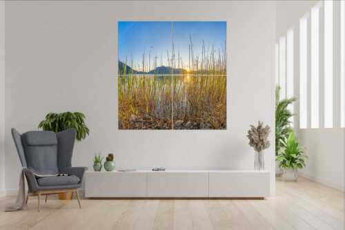 Schilfufer am Walchensee mit Sonnenaufgang am Jochberg - Walchenseeschilf - 4er Split, Größe ca. 180x180cm, Seitenverhältnis 1:1 - Walchensee Sonnenaufgang Jochberg - weitere Infos unter https://www.kriner-weiermann.de