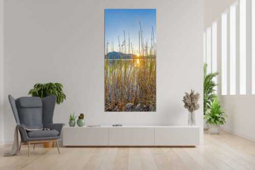Schilfufer am Walchensee mit Sonnenaufgang am Jochberg - Walchenseeschilf - Größe ca. 90x180cm, Seitenverhältnis 1:2 - Walchensee Sonnenaufgang Jochberg - weitere Infos unter https://www.kriner-weiermann.de
