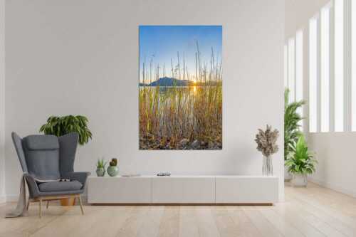 Schilfufer am Walchensee mit Sonnenaufgang am Jochberg - Walchenseeschilf - Größe ca. 120x180cm, Seitenverhältnis 2:3 - Walchensee Sonnenaufgang Jochberg - weitere Infos unter https://www.kriner-weiermann.de