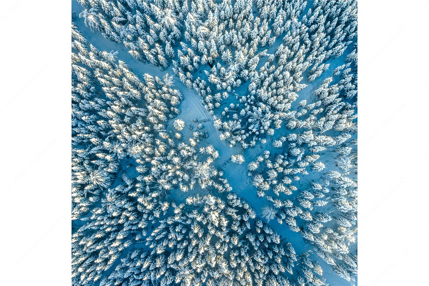 Waldeinblicke – Seitenverhältnis 1:1 — Winterwald von Oben Draufsicht Blick auf Weg durch den stark verschneiten Wald bei Krün