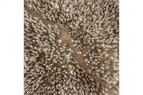 Blick auf Weg durch den stark verschneiten Wald bei Krün - Waldeinblicke - Seitenverhältnis 1:1 - Winterwald von Oben Draufsicht - weitere Infos unter https://www.kriner-weiermann.de