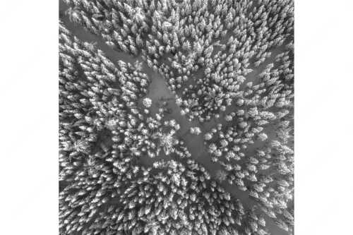 Blick auf Weg durch den stark verschneiten Wald bei Krün - Waldeinblicke - Seitenverhältnis 1:1 - Winterwald von Oben Draufsicht - weitere Infos unter https://www.kriner-weiermann.de