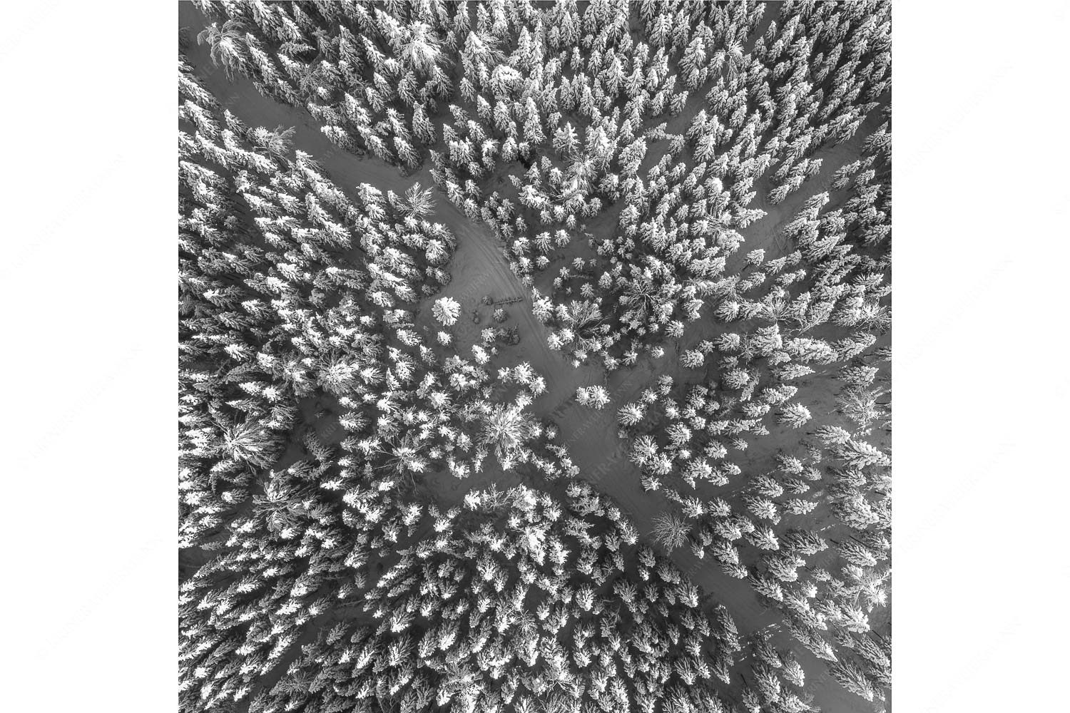 Waldeinblicke – Seitenverhältnis 1:1 — Winterwald von Oben Draufsicht Blick auf Weg durch den stark verschneiten Wald bei Krün