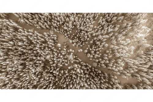 Blick auf Weg durch den stark verschneiten Wald bei Krün - Waldeinblicke - Seitenverhältnis 2:1 - Winterwald von Oben Draufsicht - weitere Infos unter https://www.kriner-weiermann.de