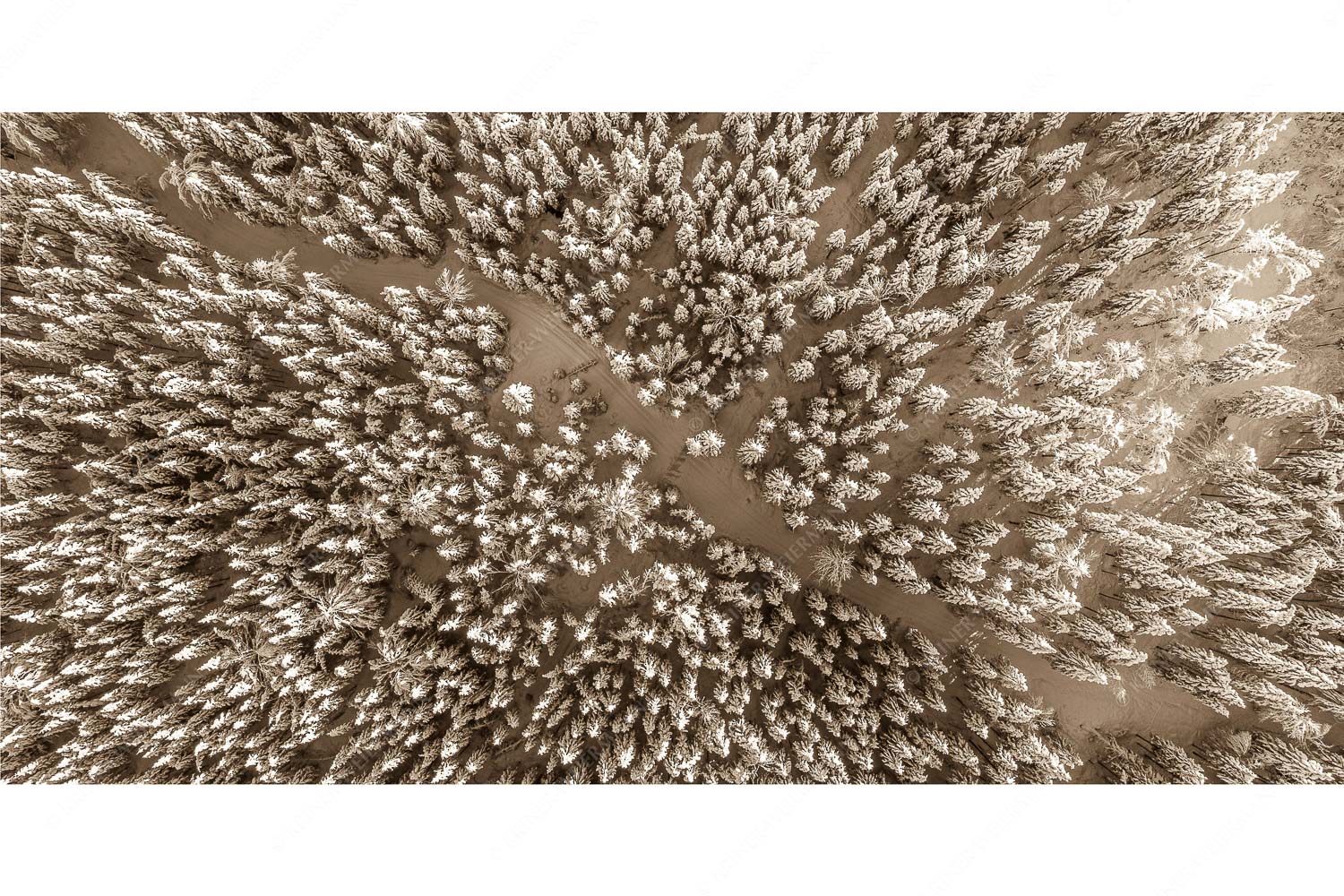 Waldeinblicke – Seitenverhältnis 2:1 — Winterwald von Oben Draufsicht Blick auf Weg durch den stark verschneiten Wald bei Krün