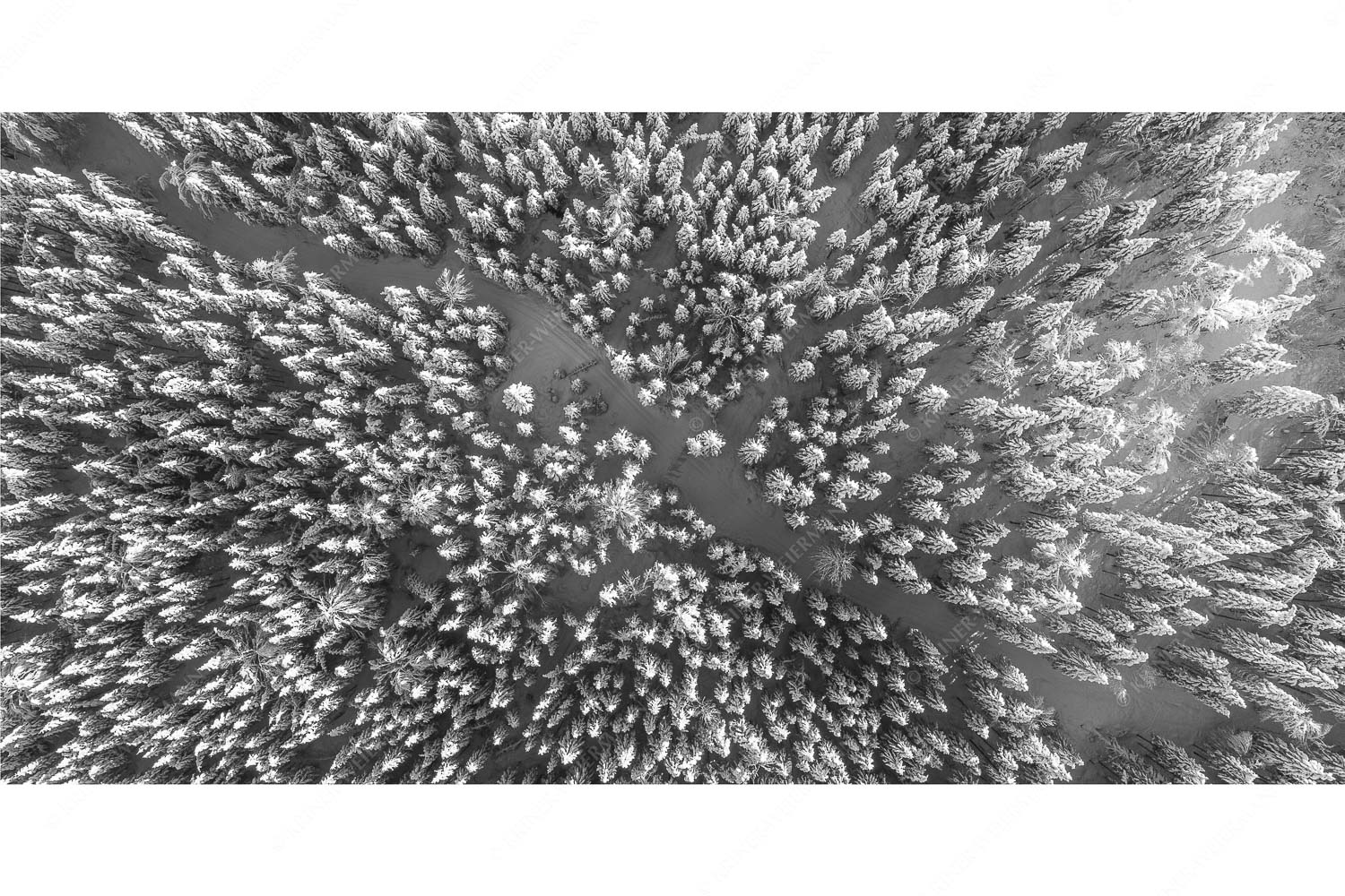 Waldeinblicke – Seitenverhältnis 2:1 — Winterwald von Oben Draufsicht Blick auf Weg durch den stark verschneiten Wald bei Krün