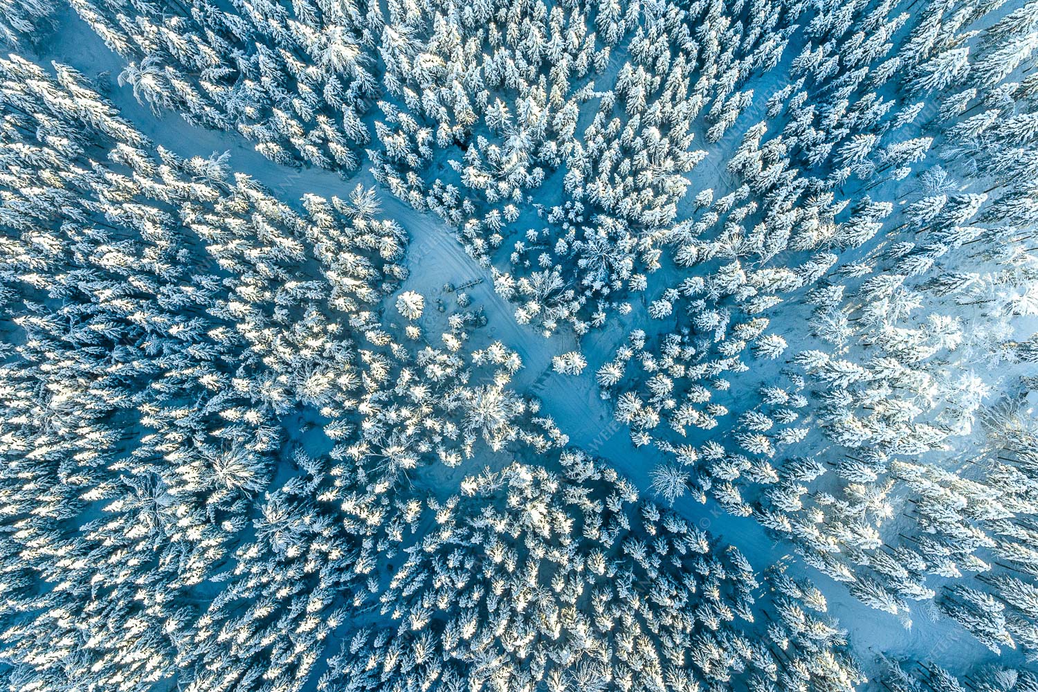 Blick auf Weg durch den stark verschneiten Wald bei Krün