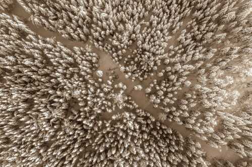 Blick auf Weg durch den stark verschneiten Wald bei Krün - Waldeinblicke - Seitenverhältnis 3:2 - Winterwald von Oben Draufsicht - weitere Infos unter https://www.kriner-weiermann.de