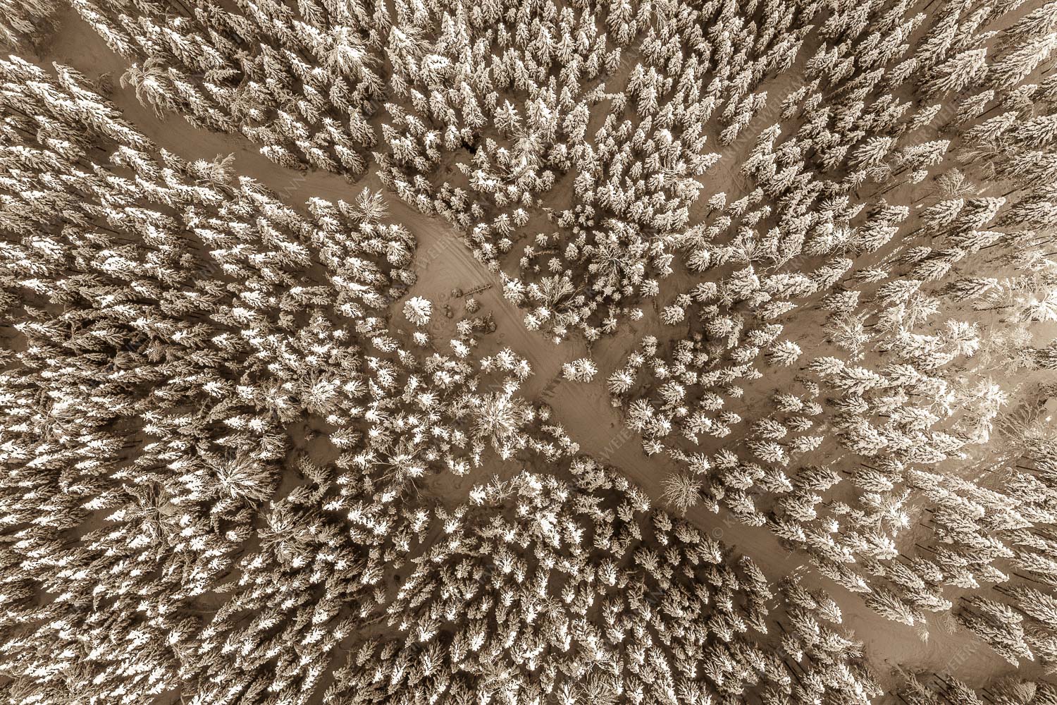 Blick auf Weg durch den stark verschneiten Wald bei Krün