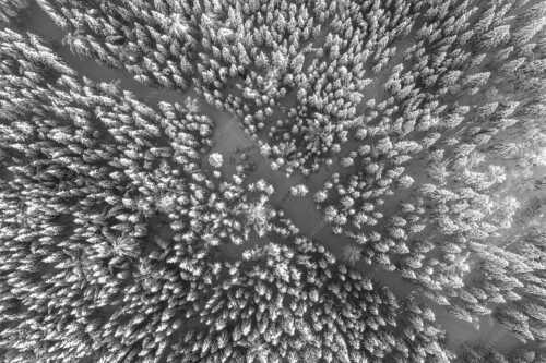 Blick auf Weg durch den stark verschneiten Wald bei Krün - Waldeinblicke - Seitenverhältnis 3:2 - Winterwald von Oben Draufsicht - weitere Infos unter https://www.kriner-weiermann.de