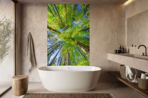 Blick auf ein Buchenblätterdach am Rindberg im Estergebirge - Waldhimmel - Größe ca. 160x240cm, Seitenverhältnis 2:3 - Laubdach - weitere Infos unter https://www.kriner-weiermann.de