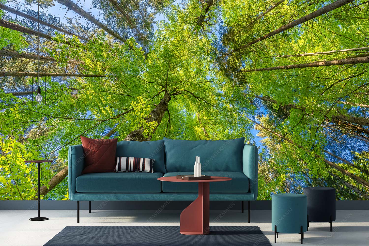 Waldhimmel – Größe ca. 400x200cm, Seitenverhältnis 2:1 — Laubdach Blick auf ein Buchenblätterdach am Rindberg im Estergebirge - Waldhimmel - Größe ca. 400x200cm, Seitenverhältnis 2:1 - Laubdach - weitere Infos unter https://www.kriner-weiermann.de