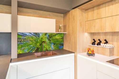 Blick auf ein Buchenblätterdach am Rindberg im Estergebirge - Waldhimmel - Größe ca. 150x60cm, Seitenverhältnis 2,5:1 - Laubdach - weitere Infos unter https://www.kriner-weiermann.de