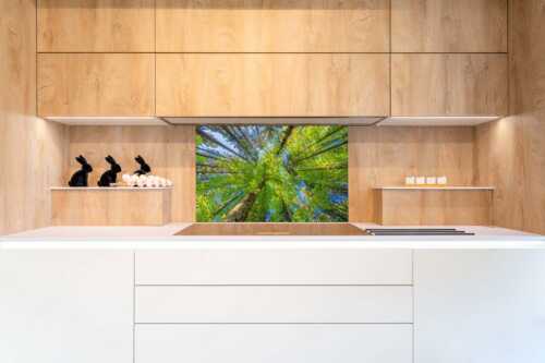 Blick auf ein Buchenblätterdach am Rindberg im Estergebirge - Waldhimmel - Größe ca. 90x60cm, Seitenverhältnis 3:2 - Laubdach - weitere Infos unter https://www.kriner-weiermann.de