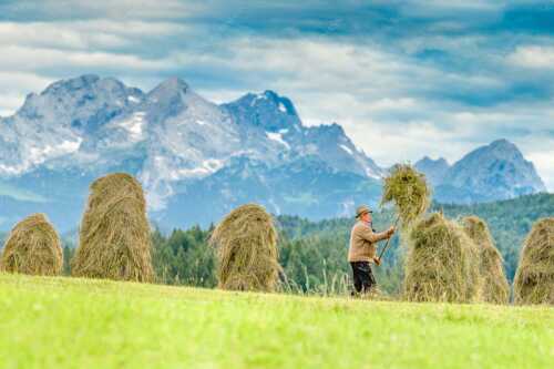 Stanker vor Zugspitzmassiv mit Hochblassen, Alpspitze, Zugspitze und Waxenstein - Wia friahra - Seitenverhältnis 3:2 - Heuarbeit Heustankern - weitere Infos unter https://www.kriner-weiermann.de