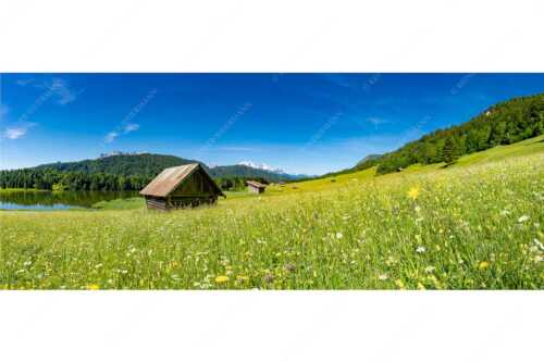 Blick über Blumenwiese am Geroldsee zum Zugspitzmassiv im Wetterstein - Wiesmahd am Geroldsee II - Seitenverhältnis 2,5:1 - Blumenwiese mit Zugspitze - weitere Infos unter https://www.kriner-weiermann.de