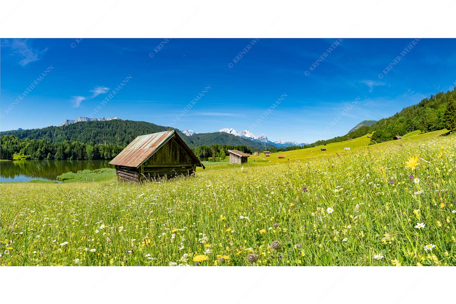 Wiesmahd am Geroldsee II – Seitenverhältnis 2:1 — Blumenwiese mit Zugspitze Blick über Blumenwiese am Geroldsee zum Zugspitzmassiv im Wetterstein
