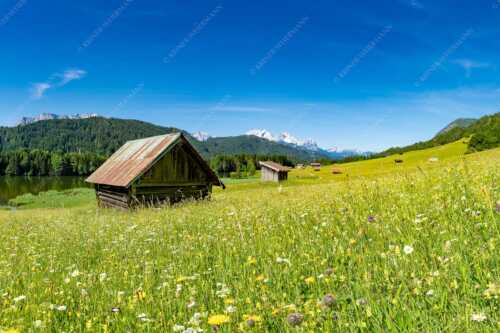 Blick über Blumenwiese am Geroldsee zum Zugspitzmassiv im Wetterstein - Wiesmahd am Geroldsee II - Seitenverhältnis 3:2 - Blumenwiese mit Zugspitze - weitere Infos unter https://www.kriner-weiermann.de