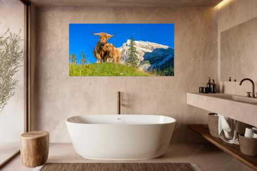 Schottische Hochlandrinder am Halleranger mit Speckkarspitze im Karwendelgebirge - Wir gehören zam - Größe ca. 180x90cm, Seitenverhältnis 2:1 - Schottisches Hochlandrind mit Kalb - weitere Infos unter https://www.kriner-weiermann.de
