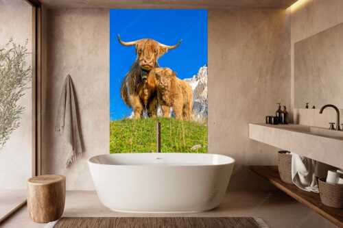 Schottische Hochlandrinder am Halleranger mit Speckkarspitze im Karwendelgebirge - Wir gehören zam - Größe ca. 160x240cm, Seitenverhältnis 2:3 - Schottisches Hochlandrind mit Kalb - weitere Infos unter https://www.kriner-weiermann.de