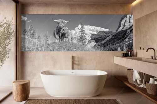 Schottische Hochlandrinder am Halleranger mit Speckkarspitze im Karwendelgebirge - Wir gehören zam - Größe ca. 300x100cm, Seitenverhältnis 3:1 - Schottisches Hochlandrind mit Kalb - weitere Infos unter https://www.kriner-weiermann.de