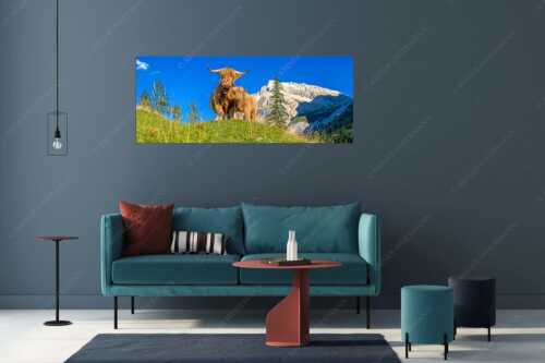 Schottische Hochlandrinder am Halleranger mit Speckkarspitze im Karwendelgebirge - Wir gehören zam - Größe ca. 175x70cm, Seitenverhältnis 2,5:1 - Schottisches Hochlandrind mit Kalb - weitere Infos unter https://www.kriner-weiermann.de