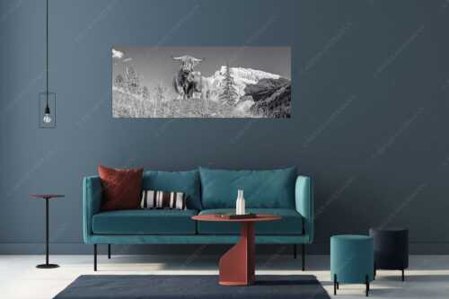 Schottische Hochlandrinder am Halleranger mit Speckkarspitze im Karwendelgebirge - Wir gehören zam - Größe ca. 175x70cm, Seitenverhältnis 2,5:1 - Schottisches Hochlandrind mit Kalb - weitere Infos unter https://www.kriner-weiermann.de