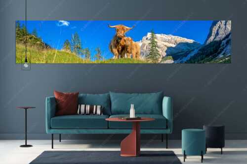 Schottische Hochlandrinder am Halleranger mit Speckkarspitze im Karwendelgebirge - Wir gehören zam - Größe ca. 350x70cm, Seitenverhältnis 5:1 - Schottisches Hochlandrind mit Kalb - weitere Infos unter https://www.kriner-weiermann.de