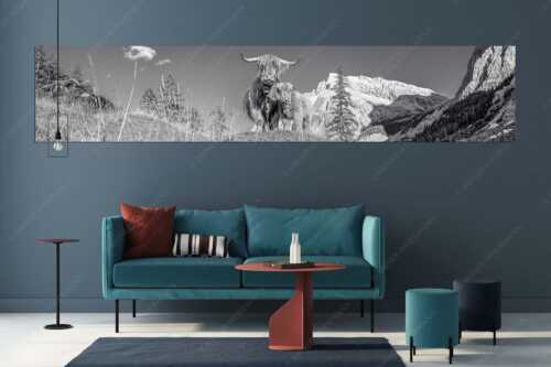 Schottische Hochlandrinder am Halleranger mit Speckkarspitze im Karwendelgebirge - Wir gehören zam - Größe ca. 350x70cm, Seitenverhältnis 5:1 - Schottisches Hochlandrind mit Kalb - weitere Infos unter https://www.kriner-weiermann.de