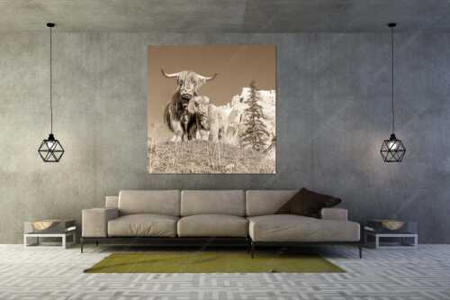 Schottische Hochlandrinder am Halleranger mit Speckkarspitze im Karwendelgebirge - Wir gehören zam - Größe ca. 160x160cm, Seitenverhältnis 1:1 - Schottisches Hochlandrind mit Kalb - weitere Infos unter https://www.kriner-weiermann.de