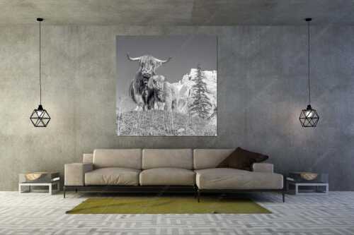 Schottische Hochlandrinder am Halleranger mit Speckkarspitze im Karwendelgebirge - Wir gehören zam - Größe ca. 160x160cm, Seitenverhältnis 1:1 - Schottisches Hochlandrind mit Kalb - weitere Infos unter https://www.kriner-weiermann.de