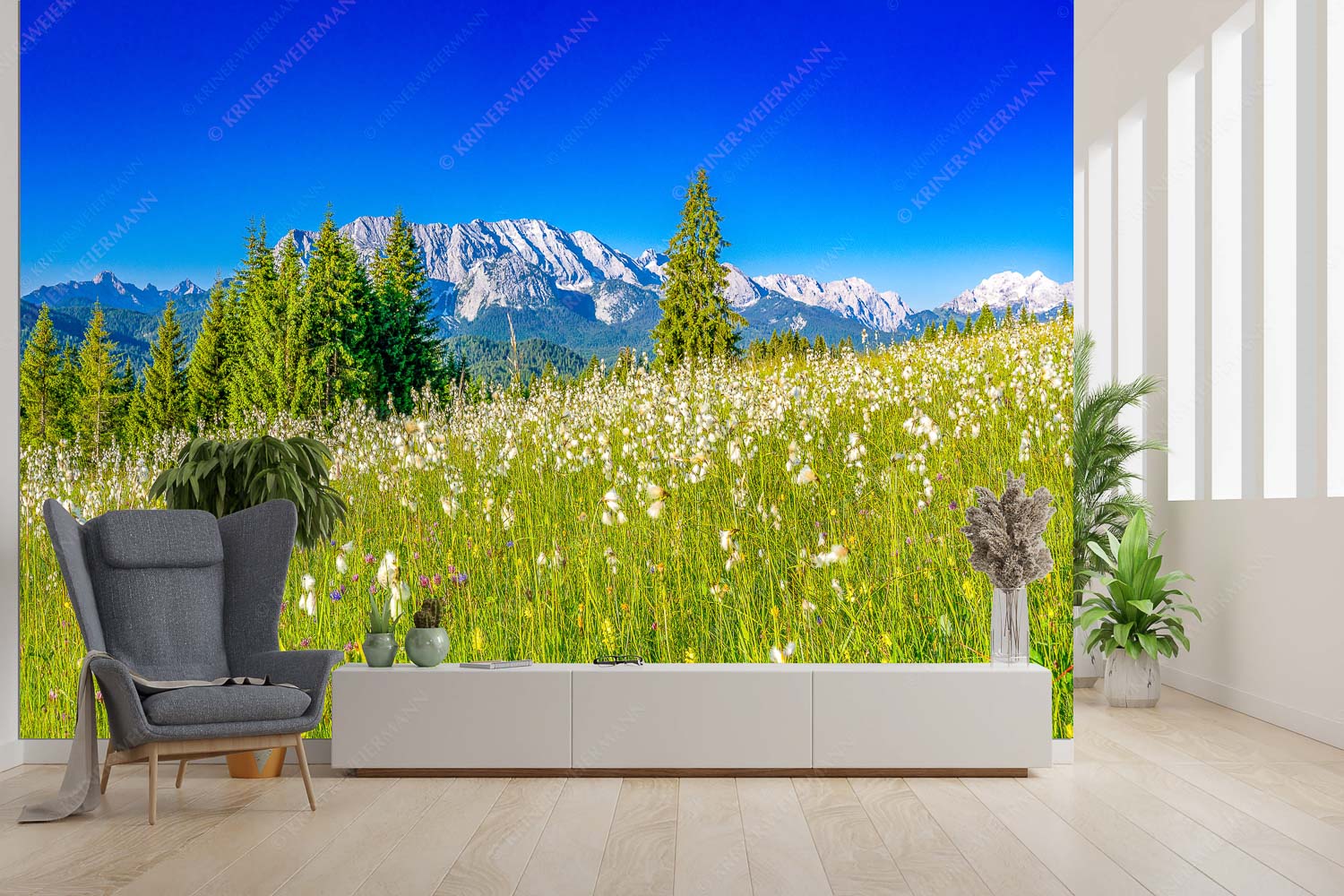 Wollgras Wiesn – Größe ca. 300x200cm, Seitenverhältnis 3:2 — Blumenwiese mit Wetterstein Blick über saftige Blumenwiese zum Wettersteingebirge - Wollgras Wiesn - Größe ca. 300x200cm, Seitenverhältnis 3:2 - Blumenwiese mit Wetterstein - weitere Infos unter https://www.kriner-weiermann.de