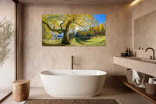 Bei den Badeufern am Barmsee steht dieser hunderte Jahre Ahornbaum - Zeitzeuge II - Größe ca. 180x90cm, Seitenverhältnis 2:1 - Ahorn am Barmsee - weitere Infos unter https://www.kriner-weiermann.de