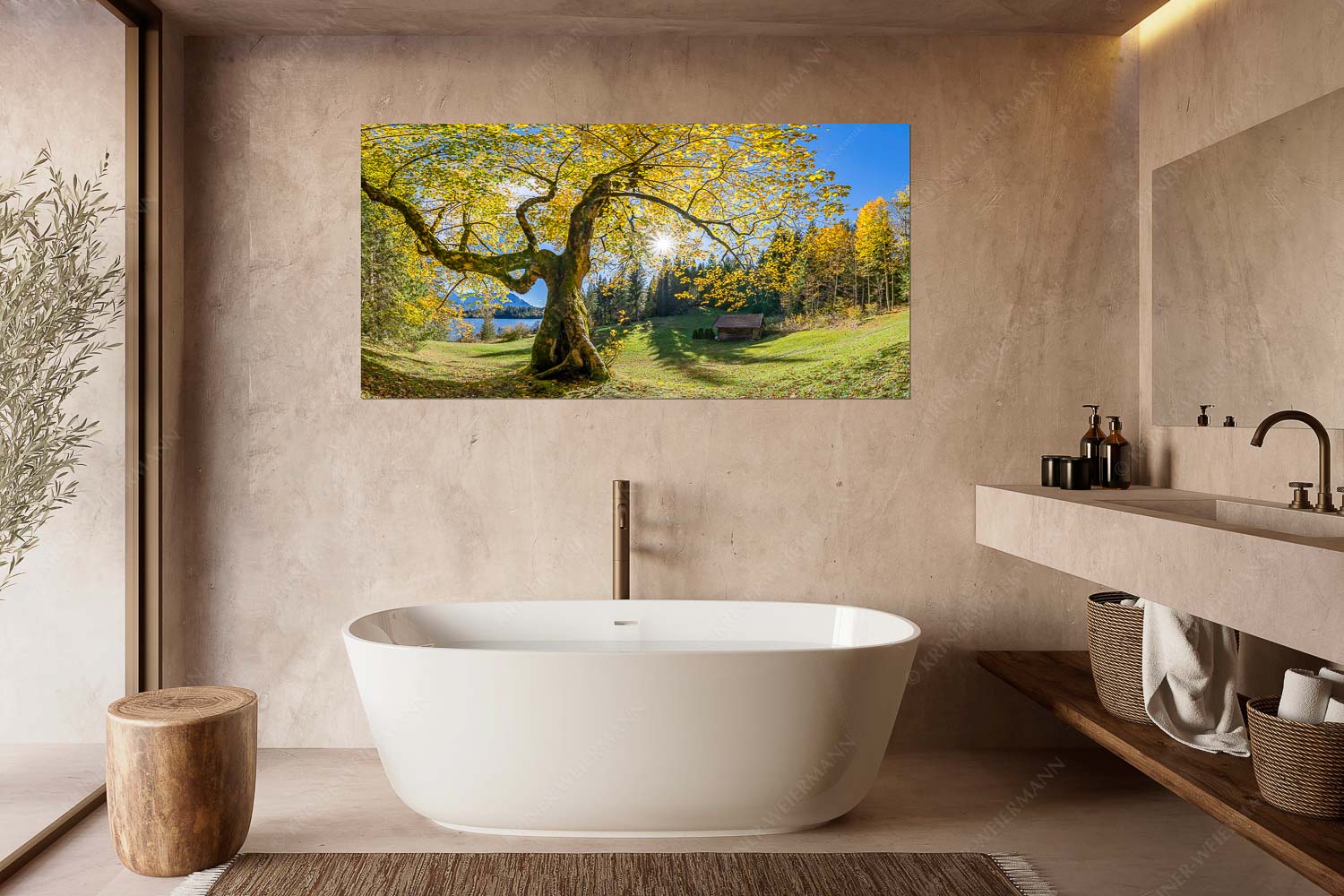 Zeitzeuge II – Größe ca. 180x90cm, Seitenverhältnis 2:1 — Ahorn am Barmsee Bei den Badeufern am Barmsee steht dieser hunderte Jahre Ahornbaum - Zeitzeuge II - Größe ca. 180x90cm, Seitenverhältnis 2:1 - Ahorn am Barmsee - weitere Infos unter https://www.kriner-weiermann.de