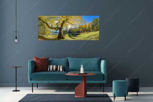 Bei den Badeufern am Barmsee steht dieser hunderte Jahre Ahornbaum - Zeitzeuge II - Größe ca. 175x70cm, Seitenverhältnis 2,5:1 - Ahorn am Barmsee - weitere Infos unter https://www.kriner-weiermann.de