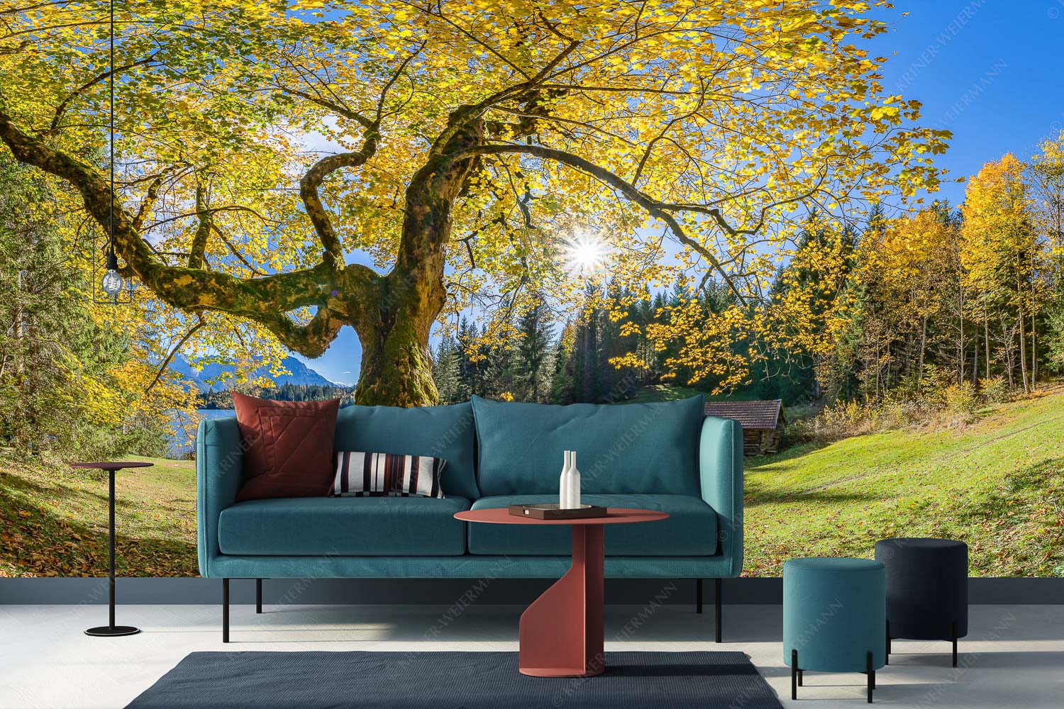 Zeitzeuge II – Größe ca. 400x200cm, Seitenverhältnis 2:1 — Ahorn am Barmsee Bei den Badeufern am Barmsee steht dieser hunderte Jahre Ahornbaum - Zeitzeuge II - Größe ca. 400x200cm, Seitenverhältnis 2:1 - Ahorn am Barmsee - weitere Infos unter https://www.kriner-weiermann.de