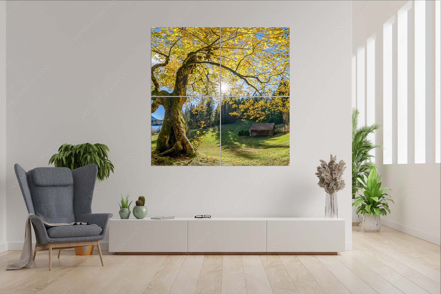 Zeitzeuge II – 4er Split, Größe ca. 180x180cm, Seitenverhältnis 1:1 — Ahorn am Barmsee Bei den Badeufern am Barmsee steht dieser hunderte Jahre Ahornbaum - Zeitzeuge II - 4er Split, Größe ca. 180x180cm, Seitenverhältnis 1:1 - Ahorn am Barmsee - weitere Infos unter https://www.kriner-weiermann.de