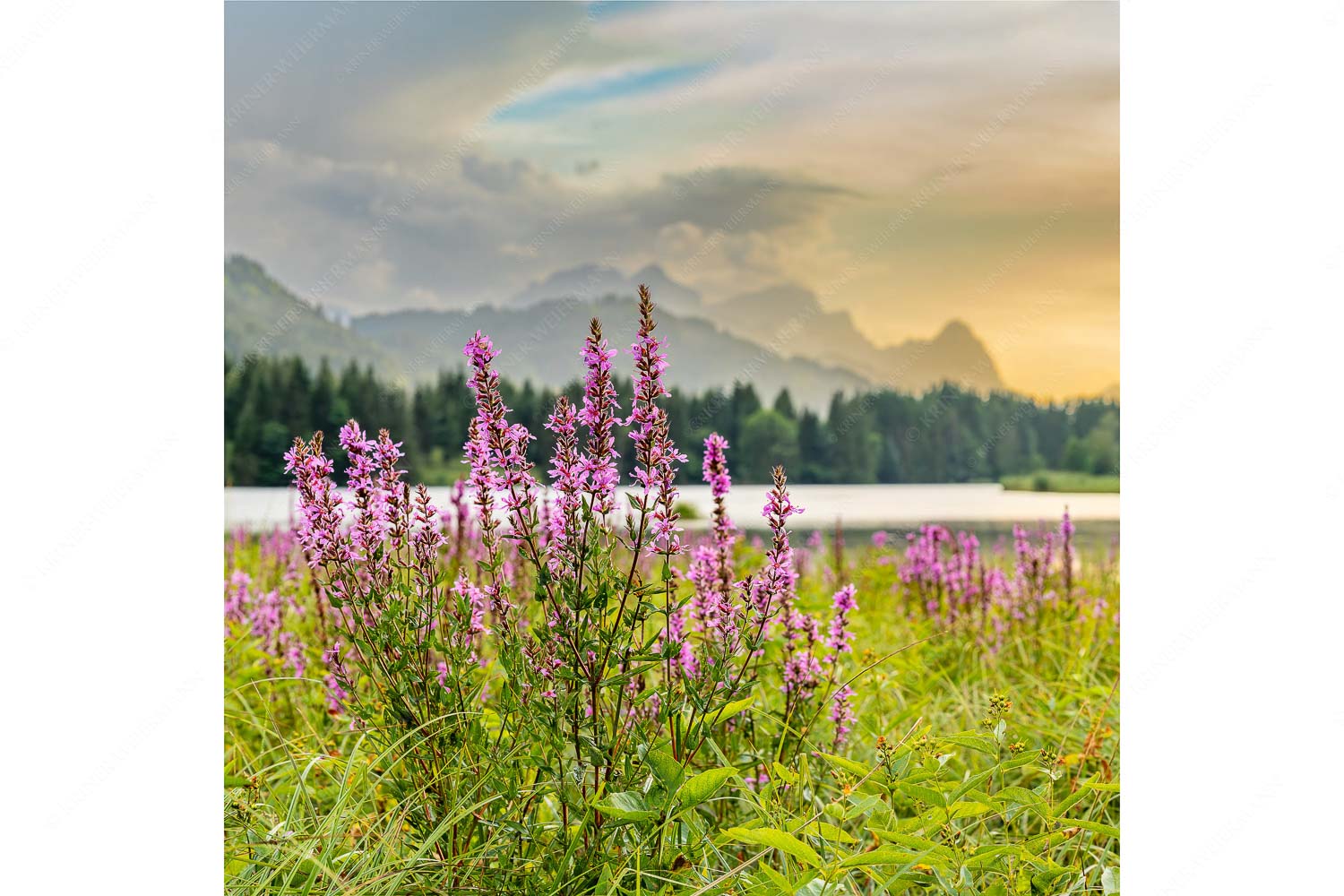 Wetterbesserung nach einem Gewitterregen am Geroldsee