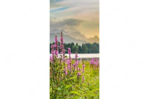 Wetterbesserung nach einem Gewitterregen am Geroldsee - Gewöhnlicher Blutweiderich - Seitenverhältnis 1:2 - Geroldsee mit Zugspitze - weitere Infos unter https://www.kriner-weiermann.de