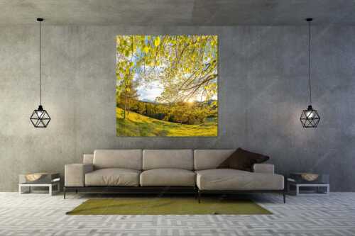 Warmes Licht in den frischen Buchenblättern - Licht in der Buche I - Wandbild - Größe ca. 160x160cm, Seitenverhältnis 1:1 - Buche mit Sonnenuntergang - weitere Infos unter https://www.kriner-weiermann.de
